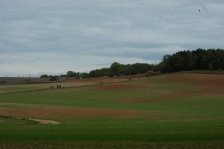 2009--G-chemin du Rotfeld-30